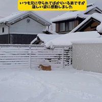 弟の背中が頼もしい…