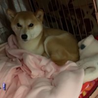 とってもお利口さん♪