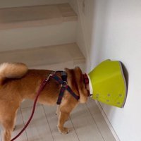 絶対怒った顔してる…！