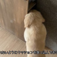 クッションで塞いだら…