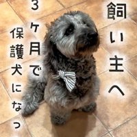 幸せを掴んだオレオくん