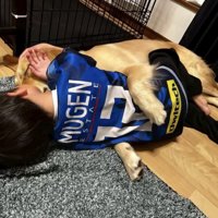 寄り添って寝転ぶ犬と人