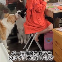 作業中のお姉ちゃんとアグちゃん4