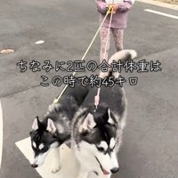 2匹の総重量は約45キロ！