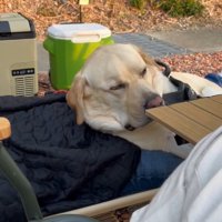 「ダメだ…やっぱり眠い…」
