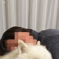パパ