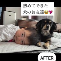 赤ちゃんとワンちゃんの初対面⑩