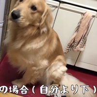 ママには目も合わさずに…