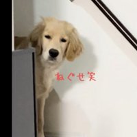 頭の毛がピョンッ