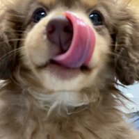 確かにそっくり…♪