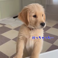 「お姉ちゃんはどこ？」