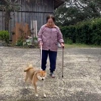 歩調を合わせて歩いてる！！