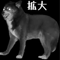 寝返りを打った時のミーシャちゃんの反応⑩