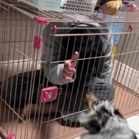 パパが助けを求めるも…