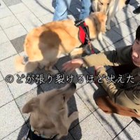 3匹の犬1