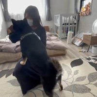興味津々！