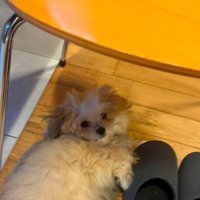 パパのぬくもりを感じながら…