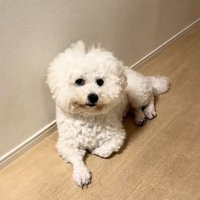 ほくさん、貫禄が光ります