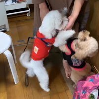 全力で甘え続ける2匹♡
