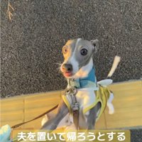 焦るうみちゃん