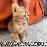 リサちゃんも一安心♡
