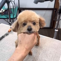 ますます可愛くなりました♡