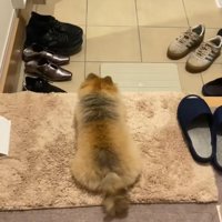 むぎちゃんが帰りを待っています！