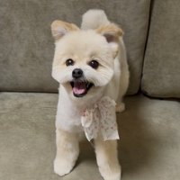 キリッ