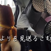 ひよりちゃんはどうしたの？