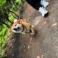 ニコニコ