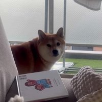 寂しそうな表情に涙