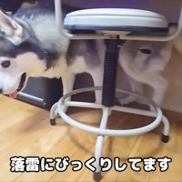 落雷にびっくり！！