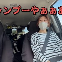 「シャンプーする気だ！いやァ～！！」