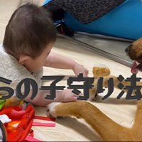 そらちゃんと赤ちゃん