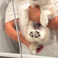お迎え