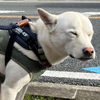 現在