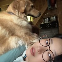 女性の上に座る犬