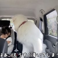 もうすぐ離ればなれ…