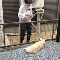 まさかの