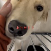 愛あふれる空間