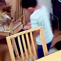 息子さんがやってくると…