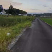 田んぼ沿いの農道へ