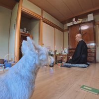 真面目に修行に励むメイちゃん