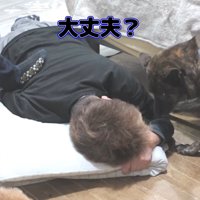 再び様子を見にきたハルヱちゃん
