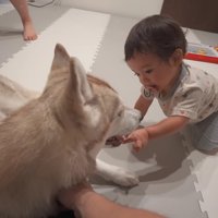 お姉ちゃんとも上手に遊ぶ