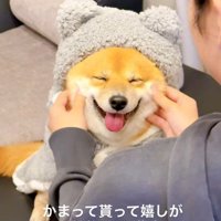 ナデナデされるとニッコリ♡