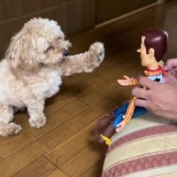 「まかせて！」