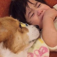泣いていたら駆けつけるよ