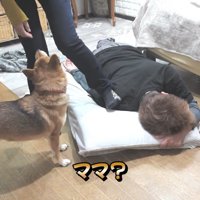 マメちゃんがきてくれました