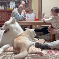 アイスちゃんも一家団欒の場へ